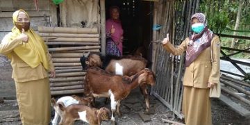 Strategi Penyuluh Agama Islam dengan Program Pemberdayaan Ekonomi