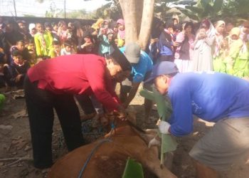 Rangkaian Idul Adha dan Penyebelihan Qurban dilaksanakan MTsN 2 Sragen pada Rangkaian Persami Madrasah