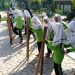 Lestarikan Budaya, MTsN 4 Sragen gelar Class Meeting dengan Lomba Permainan Tradisional