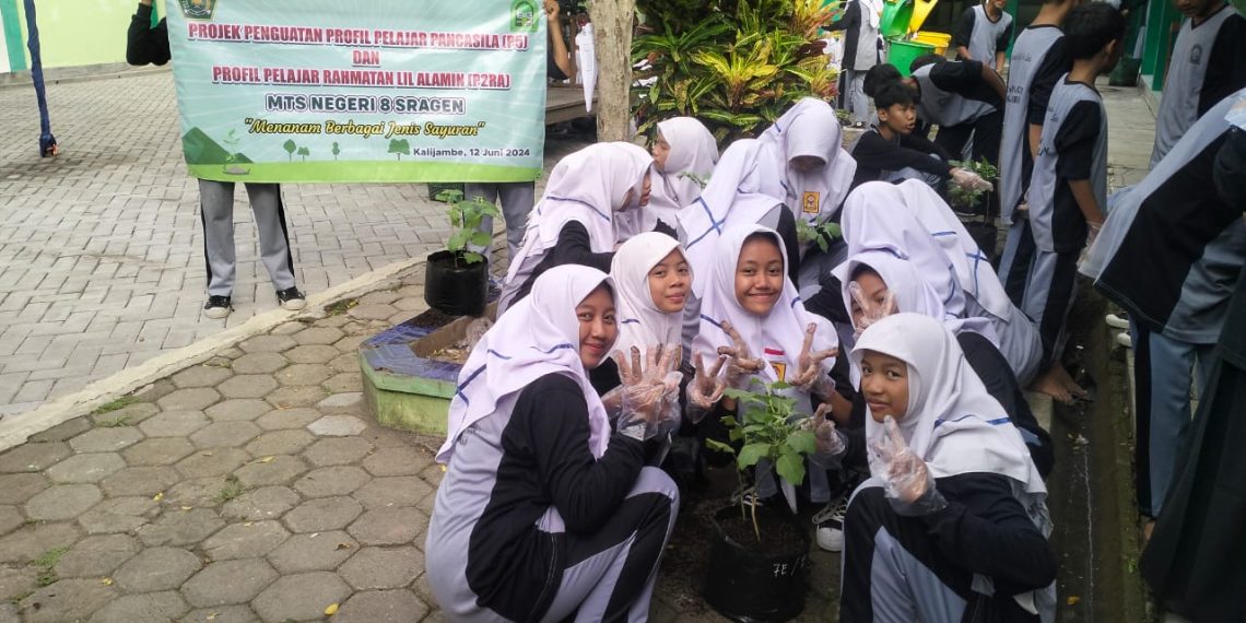 MTsN 8 Sragen Gelar P5 dan P2RA dengan Menanam Berbagai Jenis Sayuran