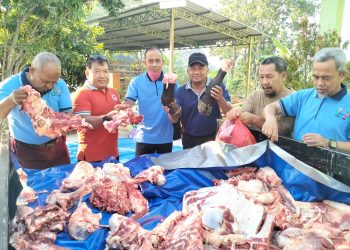 MTsN 2 Sragen Rayakan Idul Adha dengan Berkemah Seraya Berkurban