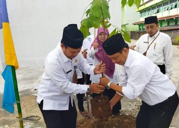MTsN 4 Sragen Partisipasi Sukseskan Gerakan Menanam 1 Juta Pohon Matoa