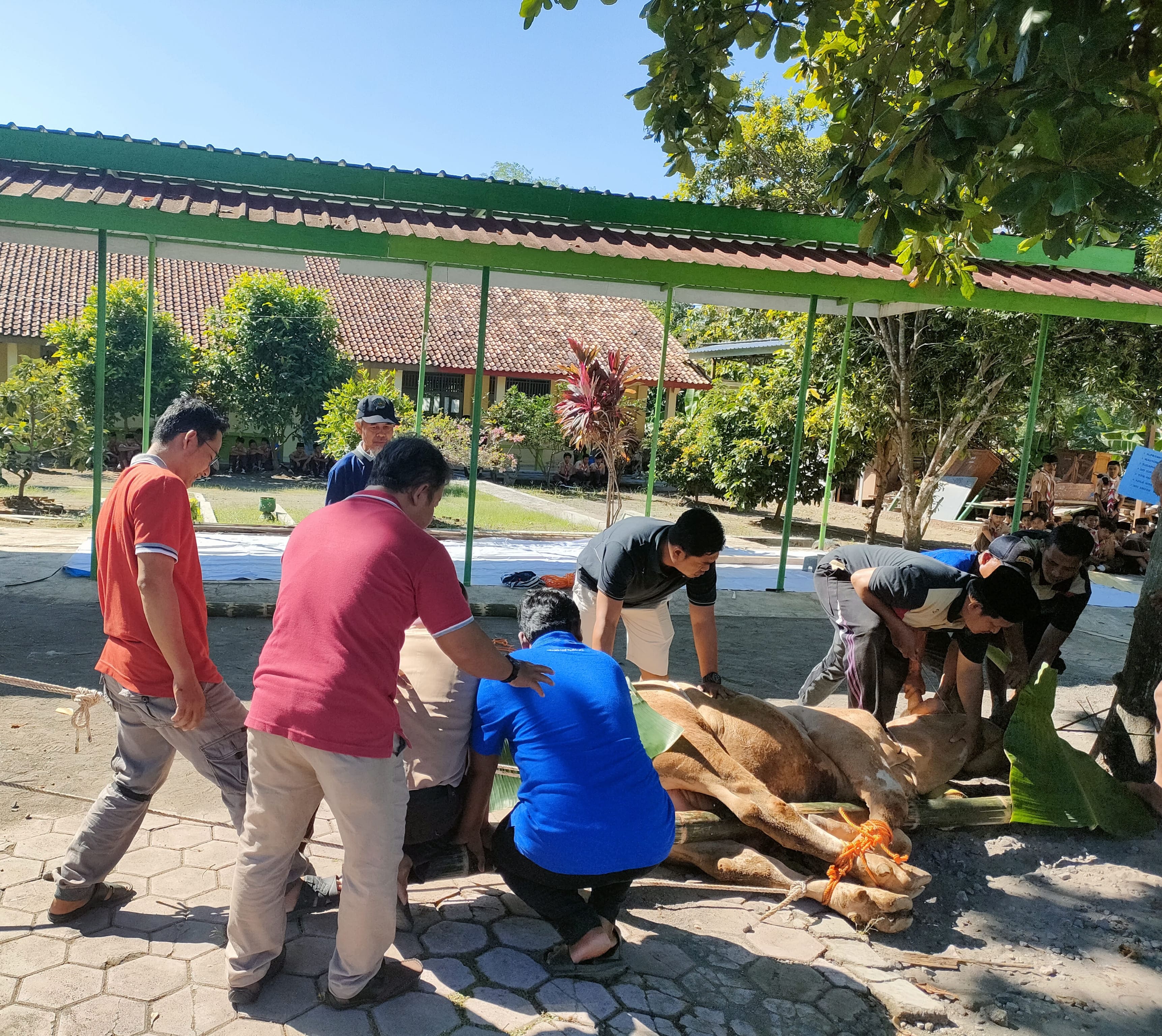 Peduli Masyarakat Sekitar, MTsN 2 Tasyarufkan Daging Qurban