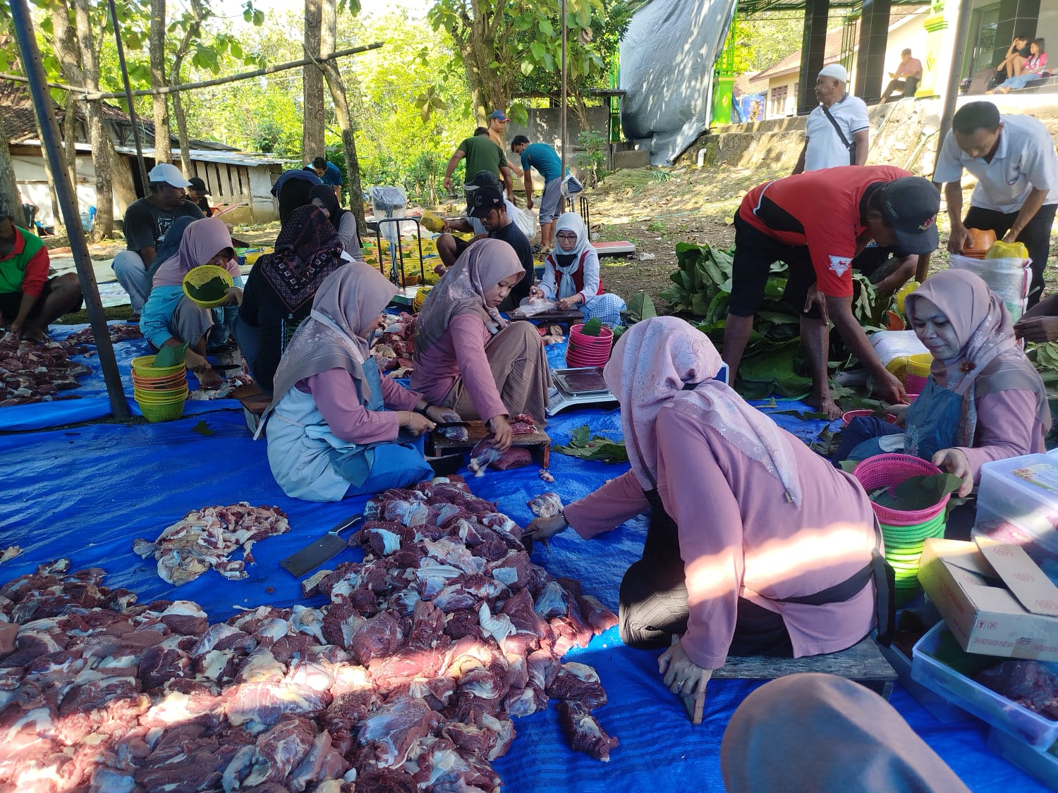 Pokjaluh dan IPARI Sragen Wujudkan Semangat “IPARI Merawat Indonesia” Lewat Ibadah Kurban