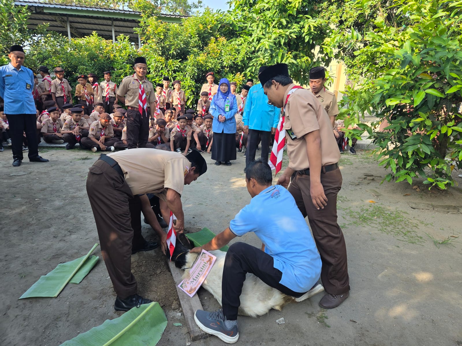 Persami dan Kurban Berpadu, MTsN 2 Sragen Hadirkan Pembelajaran Bermakna